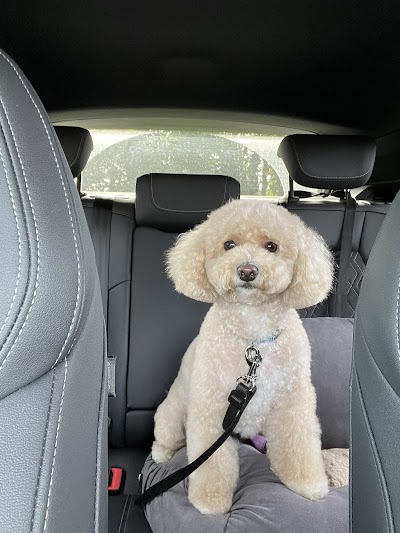 Grooming Van Image