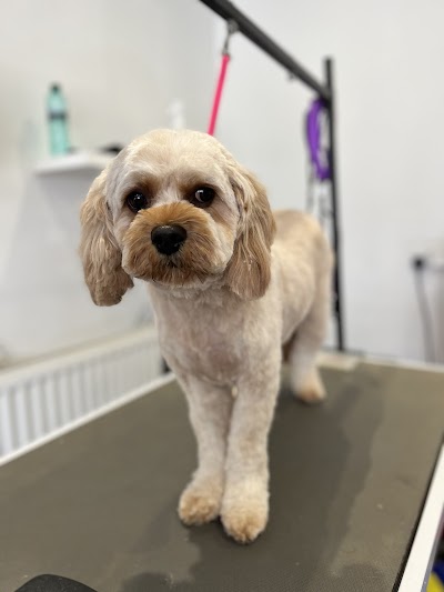 Grooming Van Image