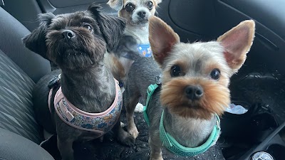 Grooming Van Image