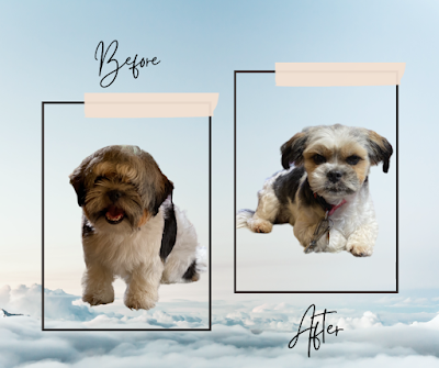 Grooming Van Image
