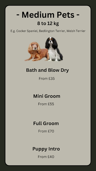 Grooming Van Image
