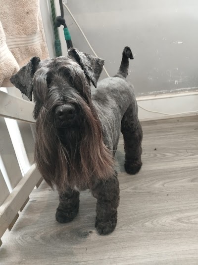 Grooming Van Image