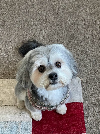 Grooming Van Image