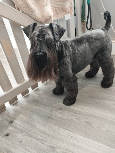 Grooming Van Image