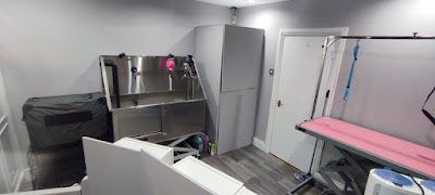 Grooming Van Image