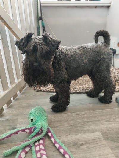 Grooming Van Image