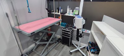 Grooming Van Image