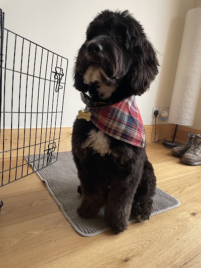 Grooming Van Image