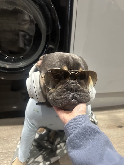 Grooming Van Image