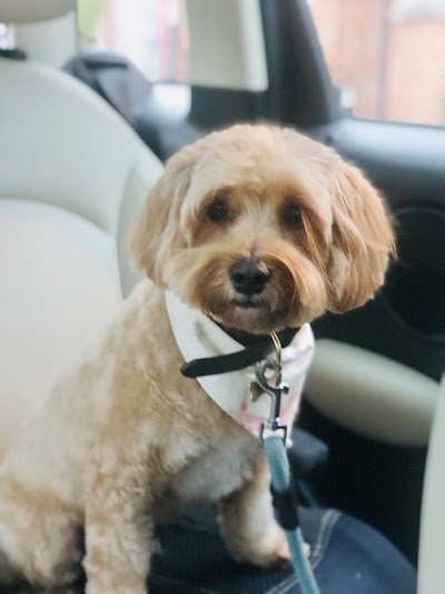Grooming Van Image