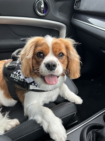 Grooming Van Image