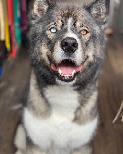 Grooming Van Image