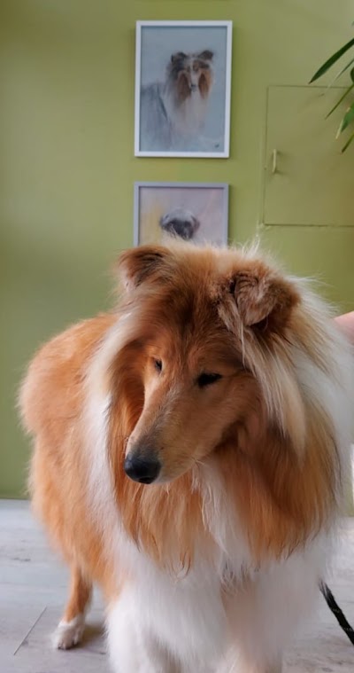 Grooming Van Image