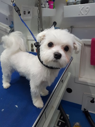 Grooming Van Image