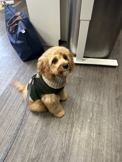 Grooming Van Image