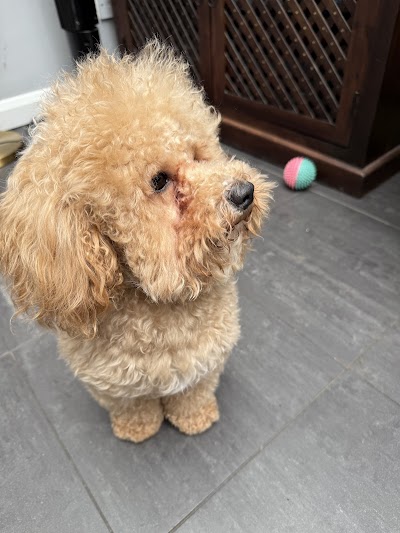 Grooming Van Image