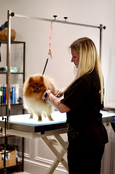 Grooming Van Image