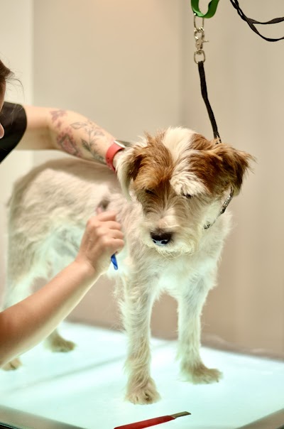 Grooming Van Image