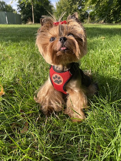 Grooming Van Image