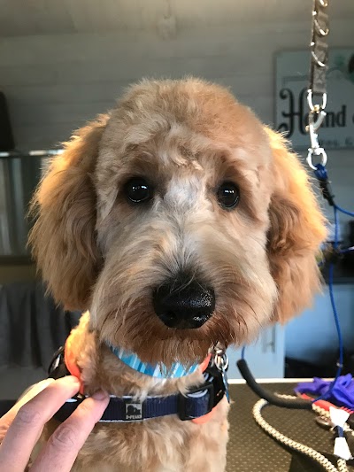 Grooming Van Image