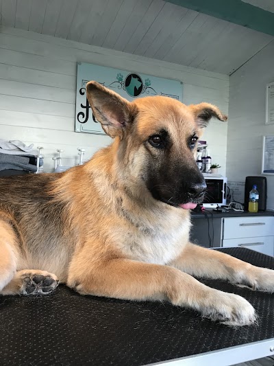 Grooming Van Image