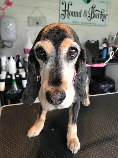 Grooming Van Image