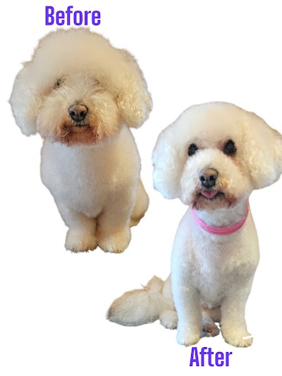 Grooming Van Image