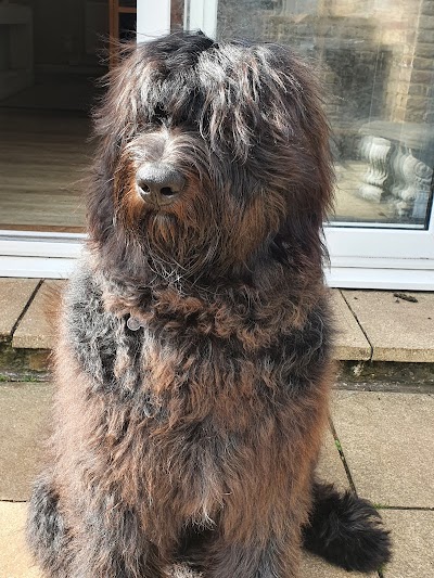 Grooming Van Image