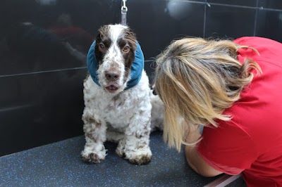 Grooming Van Image
