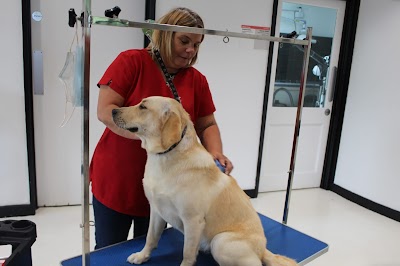 Grooming Van Image