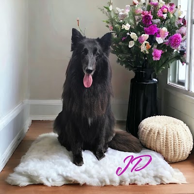 Grooming Van Image