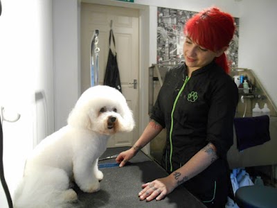 Grooming Van Image