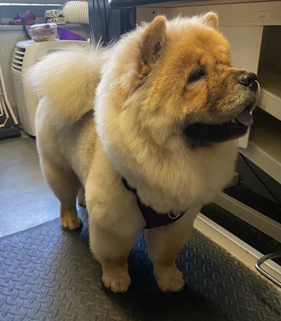 Grooming Van Image