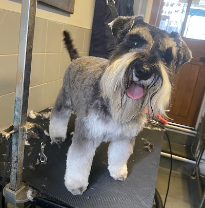 Grooming Van Image