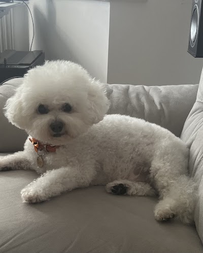 Grooming Van Image
