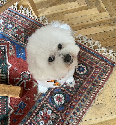 Grooming Van Image