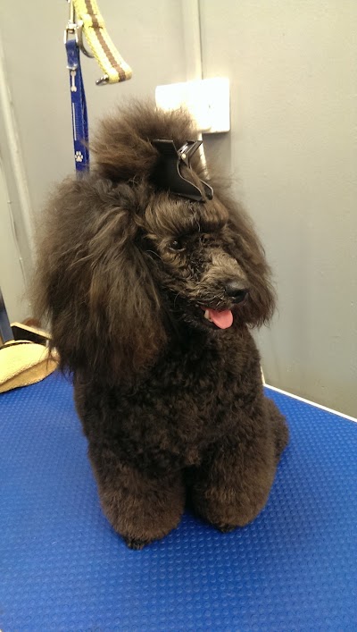 Grooming Van Image