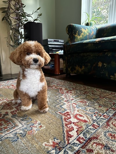 Grooming Van Image