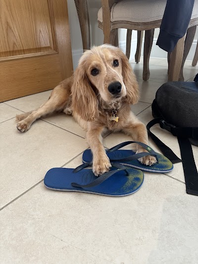 Grooming Van Image