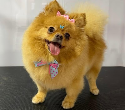 Grooming Van Image
