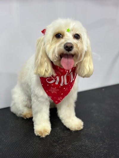 Grooming Van Image