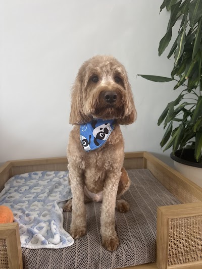 Grooming Van Image