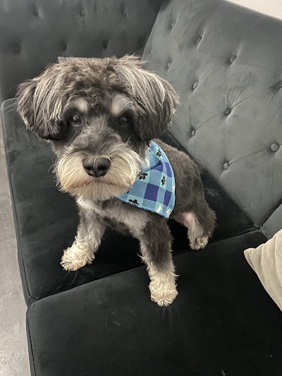 Grooming Van Image