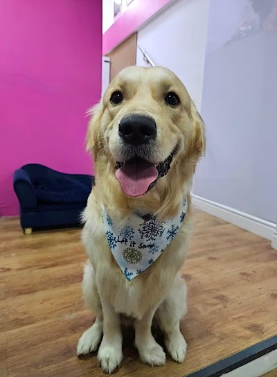 Grooming Van Image