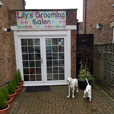 Grooming Van Image