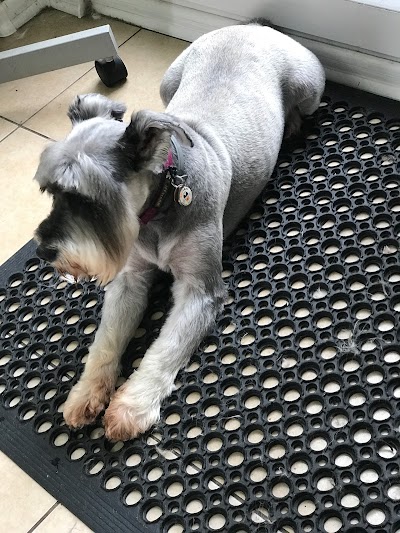 Grooming Van Image