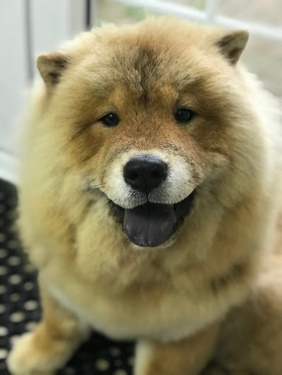 Grooming Van Image