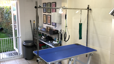 Lily's Dog Grooming Salon