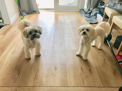 Grooming Van Image