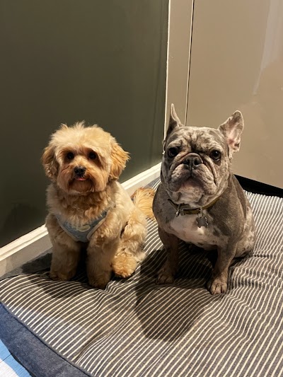 Grooming Van Image